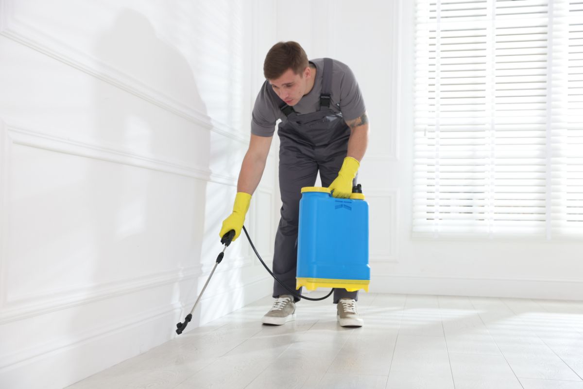 Termite Control