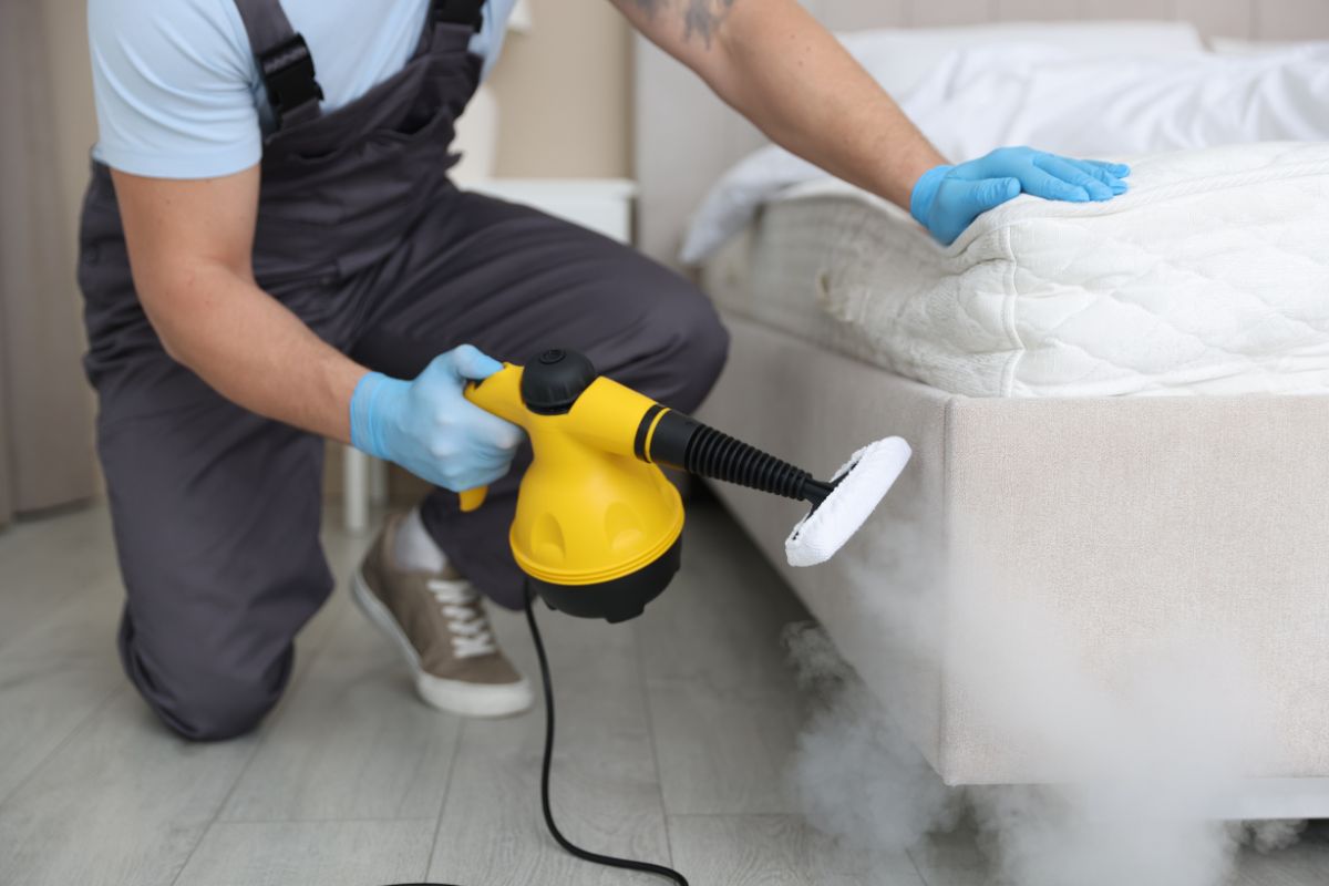Termite Control