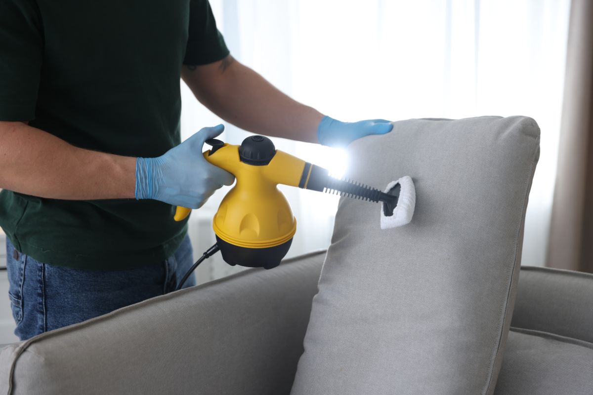 Termite Control