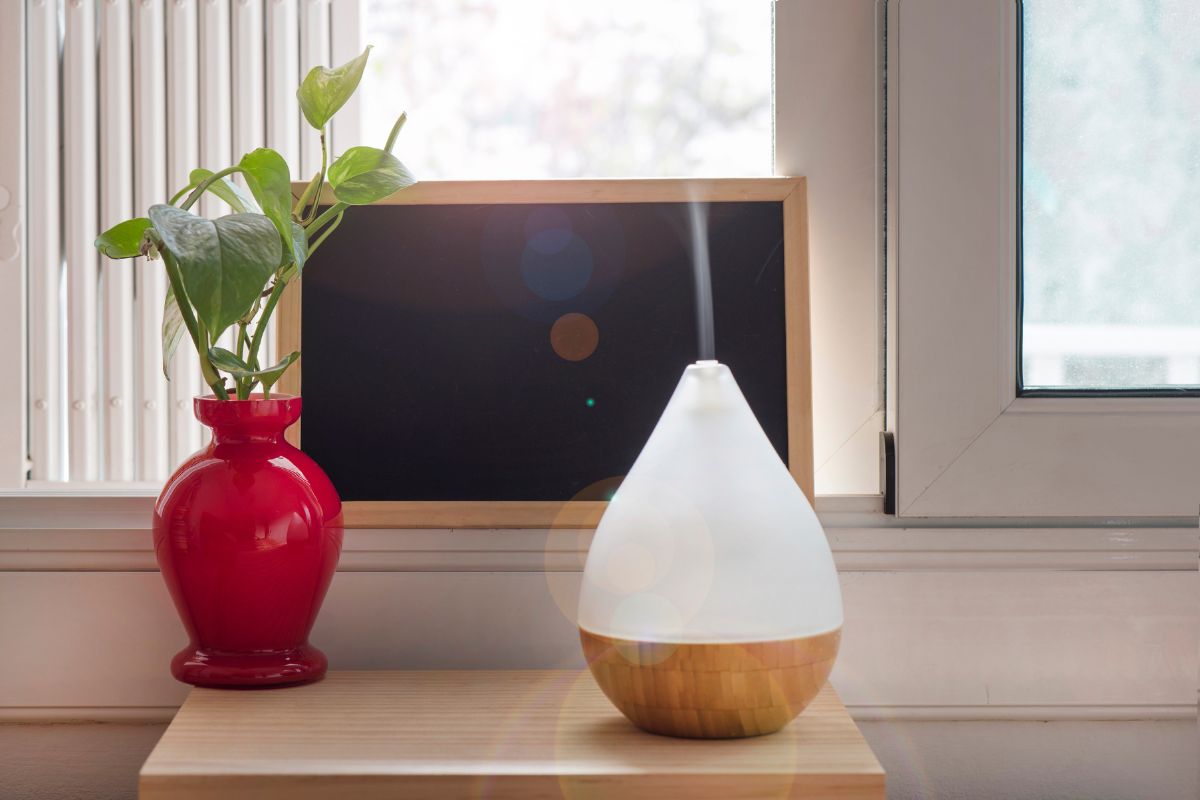 Get Rid Of Winter Bugs