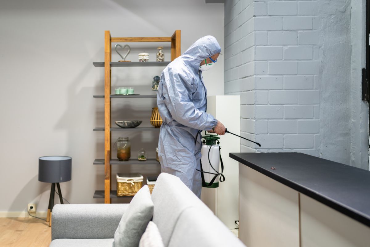 Termite Control