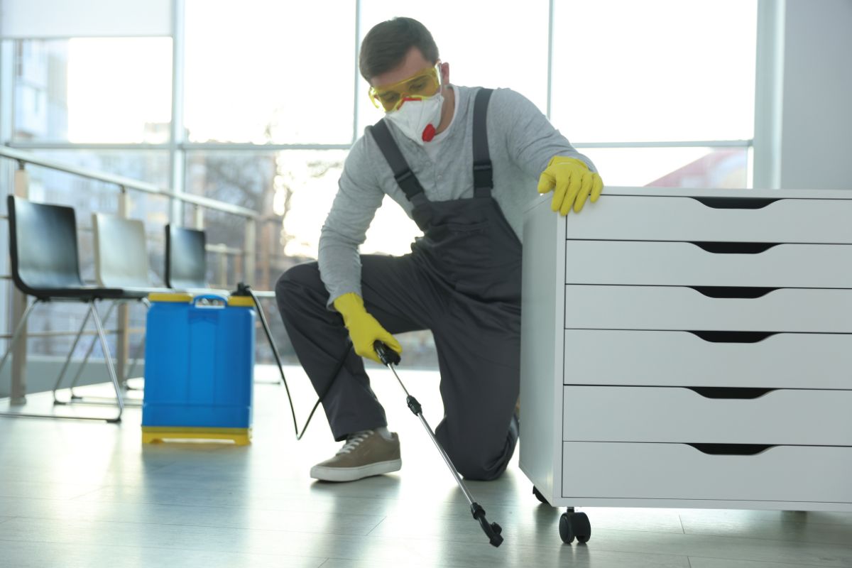 Termite Control