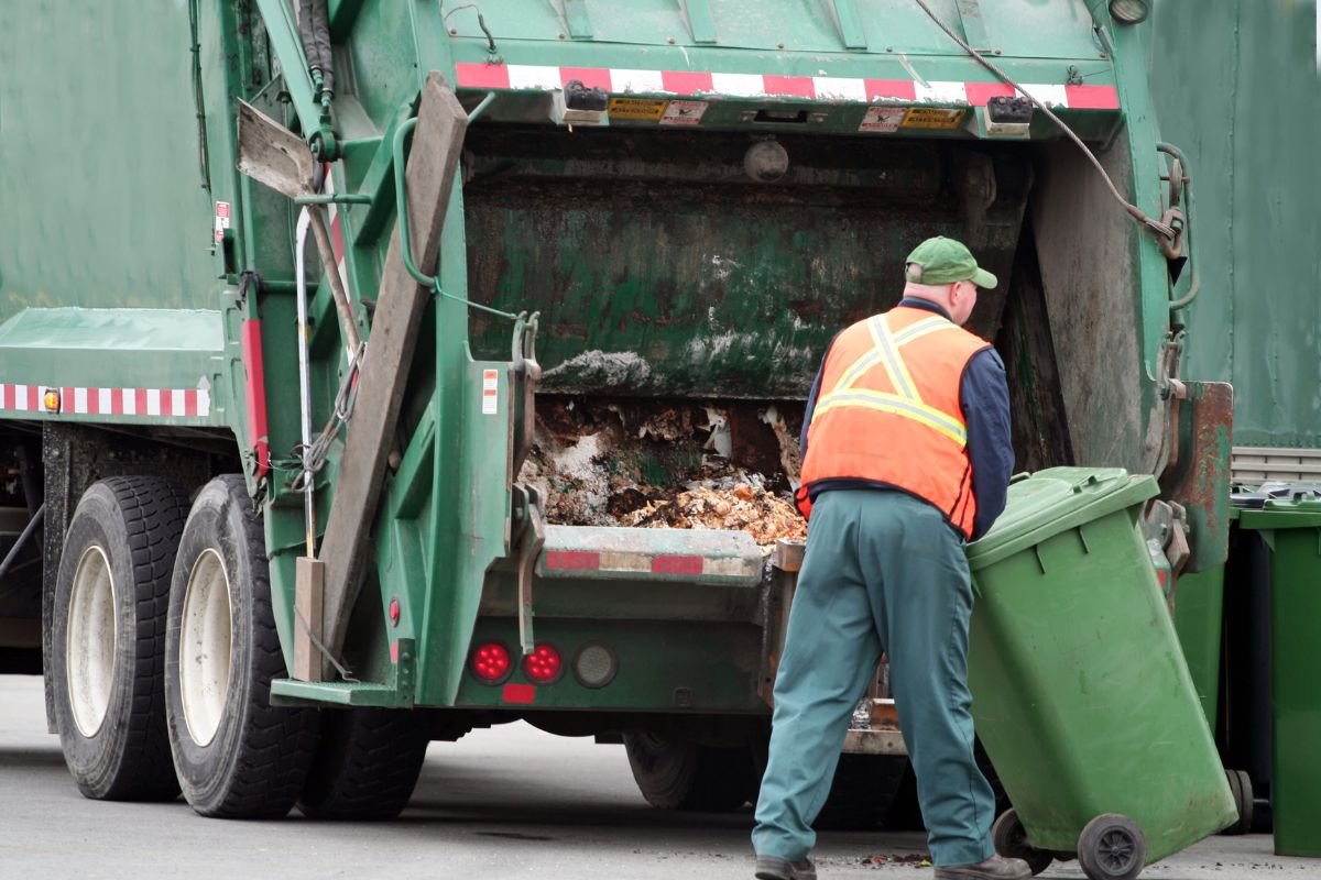 7 Useful Tips For Rat Exterminator 5 Rat Exterminator