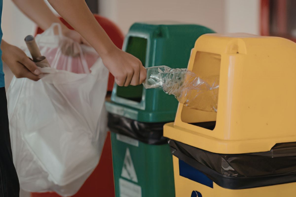 7 Useful Tips For Rat Exterminator 6 Rat Exterminator