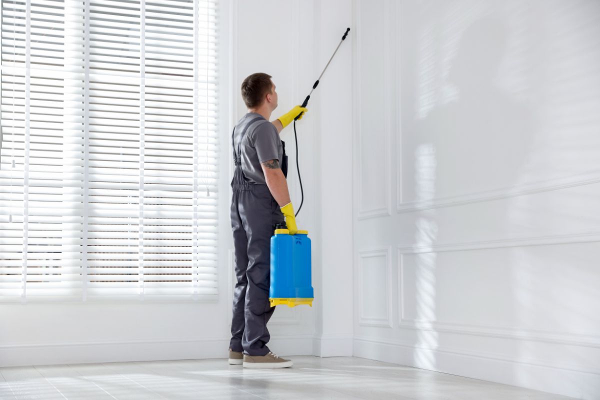 Termite Control