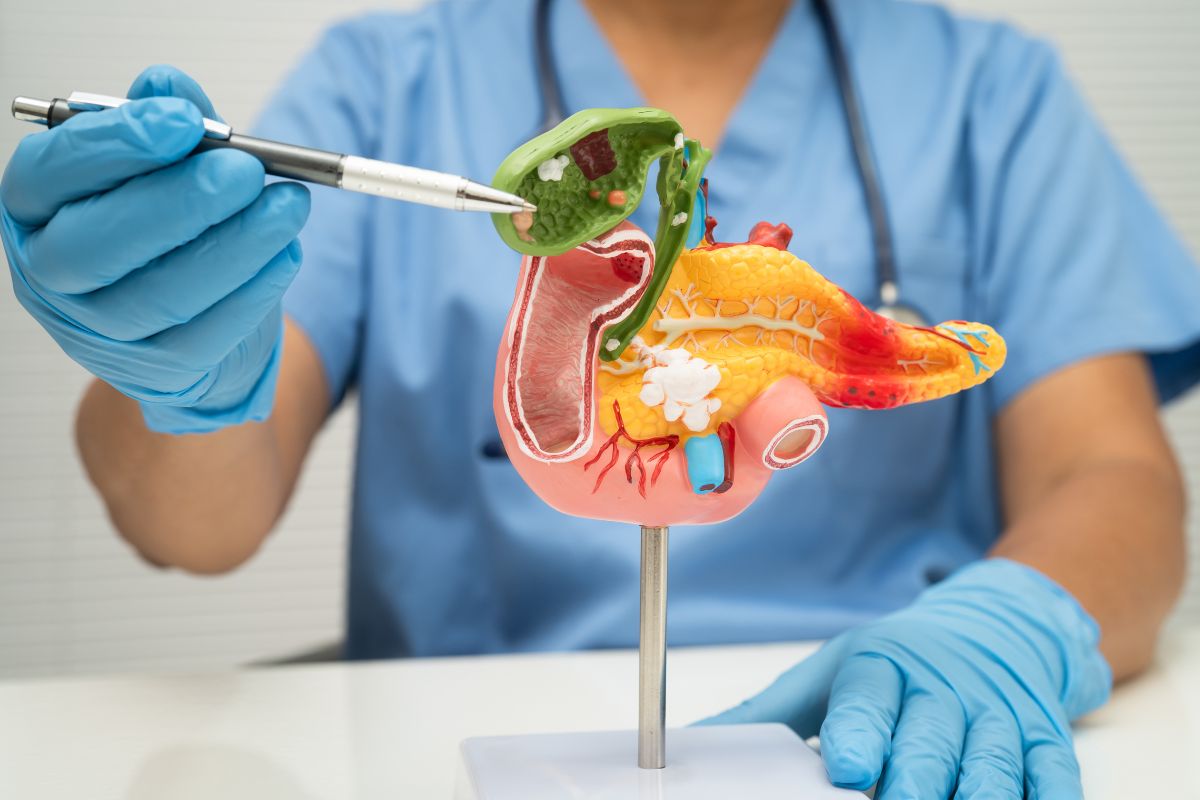 How to Find the Best Doctor for Gallbladder Surgery in India 1 Which doctor performs gallbladder surgery