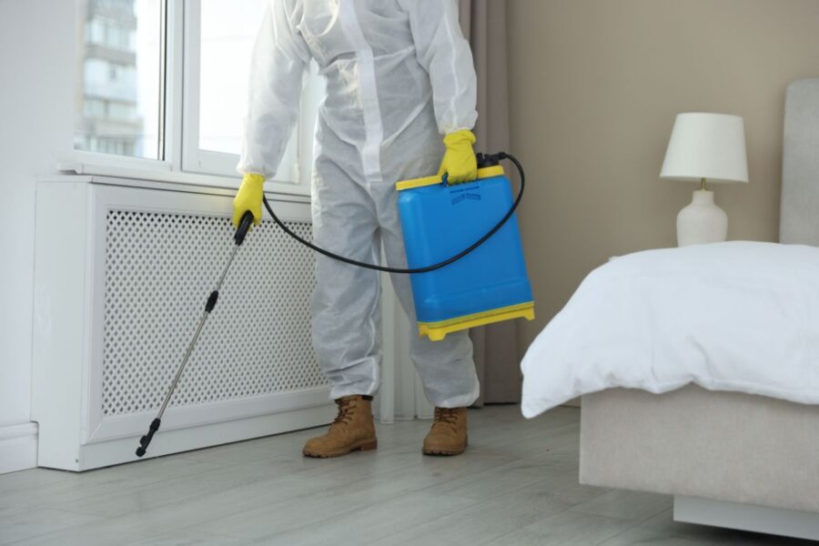 Termite Control