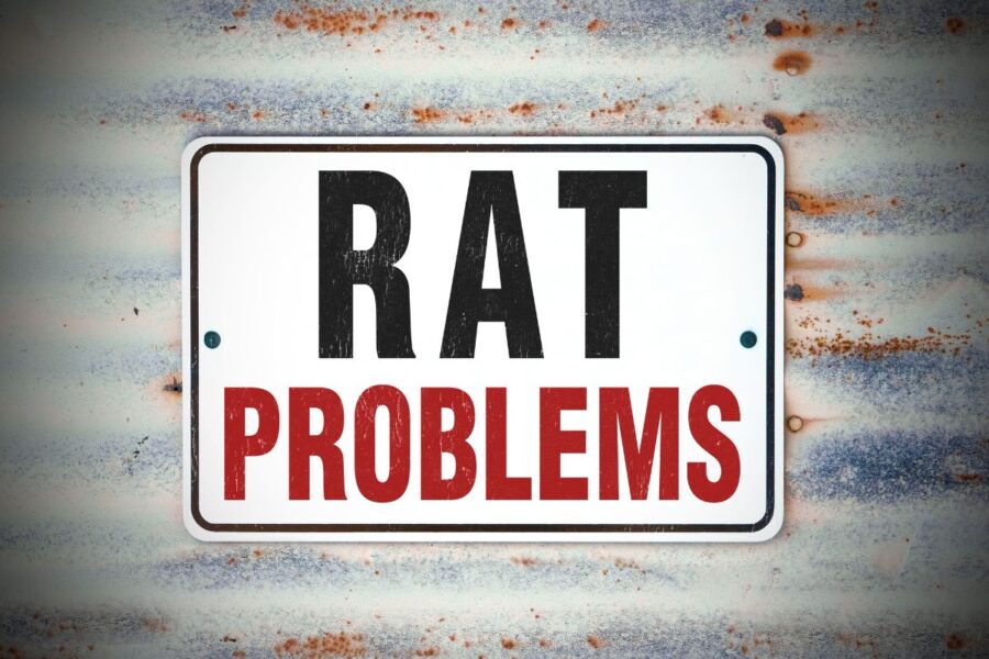 Rat Exterminator